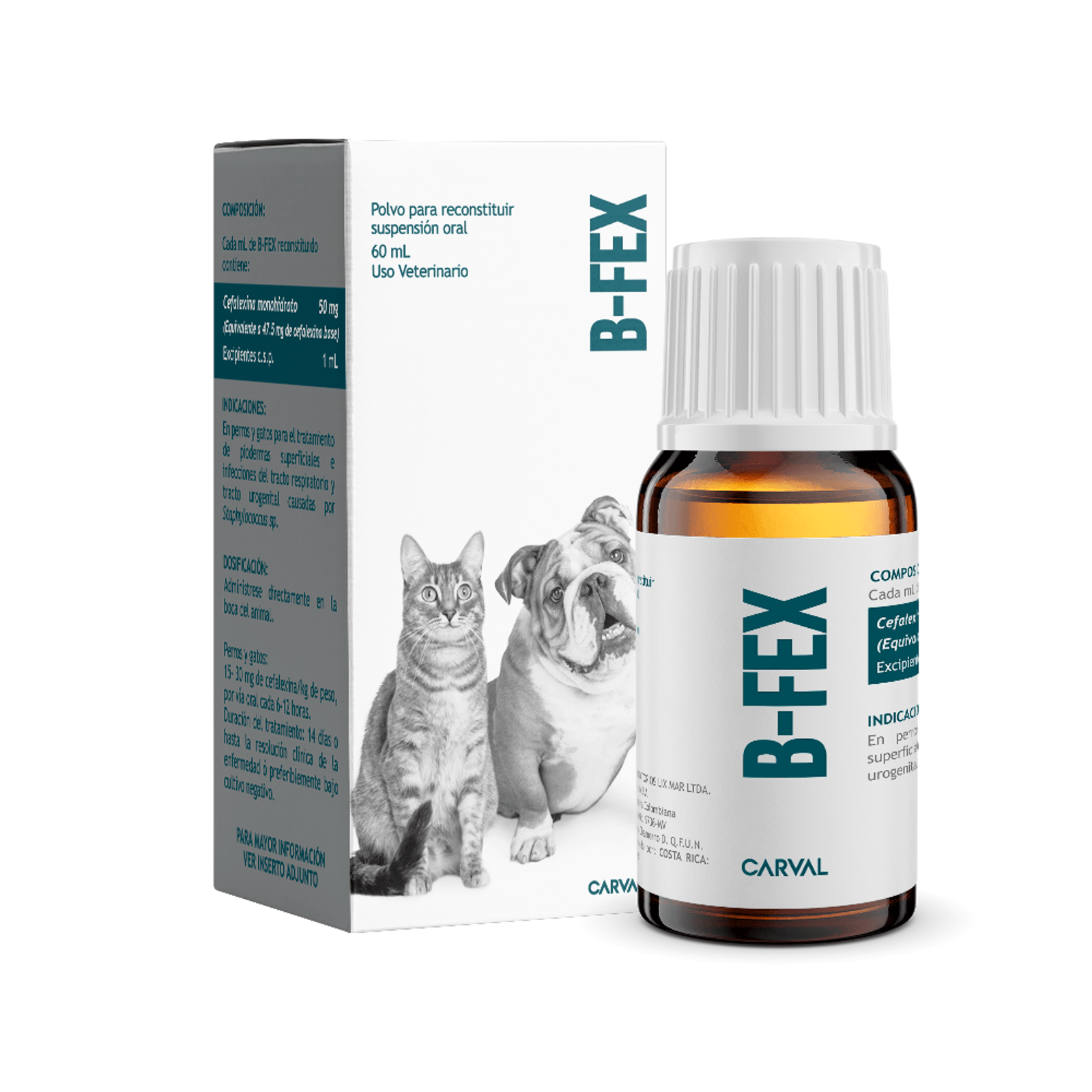 B-FEX X 60 ML