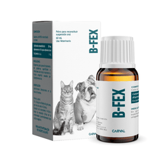 B-FEX X 60 ML