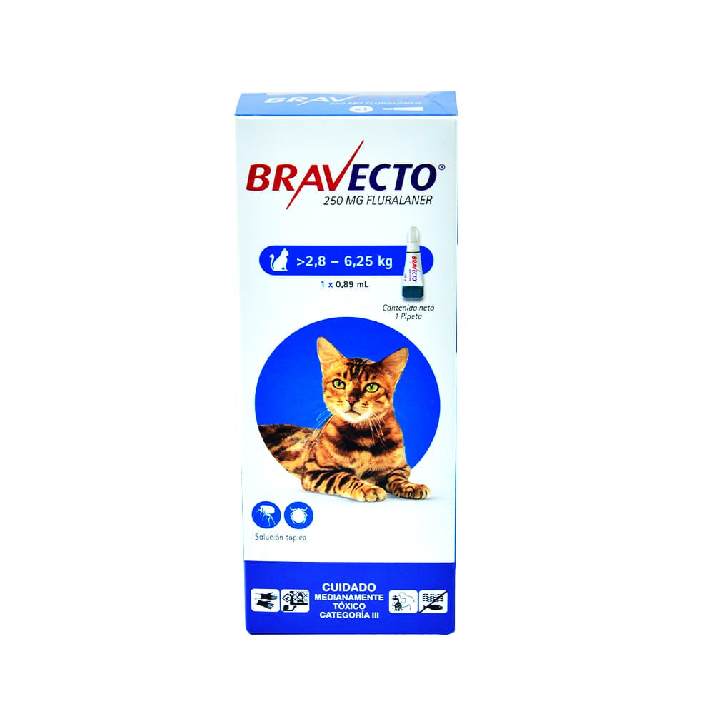 Bravecto® Gatos 2.8 a 6.2 kg